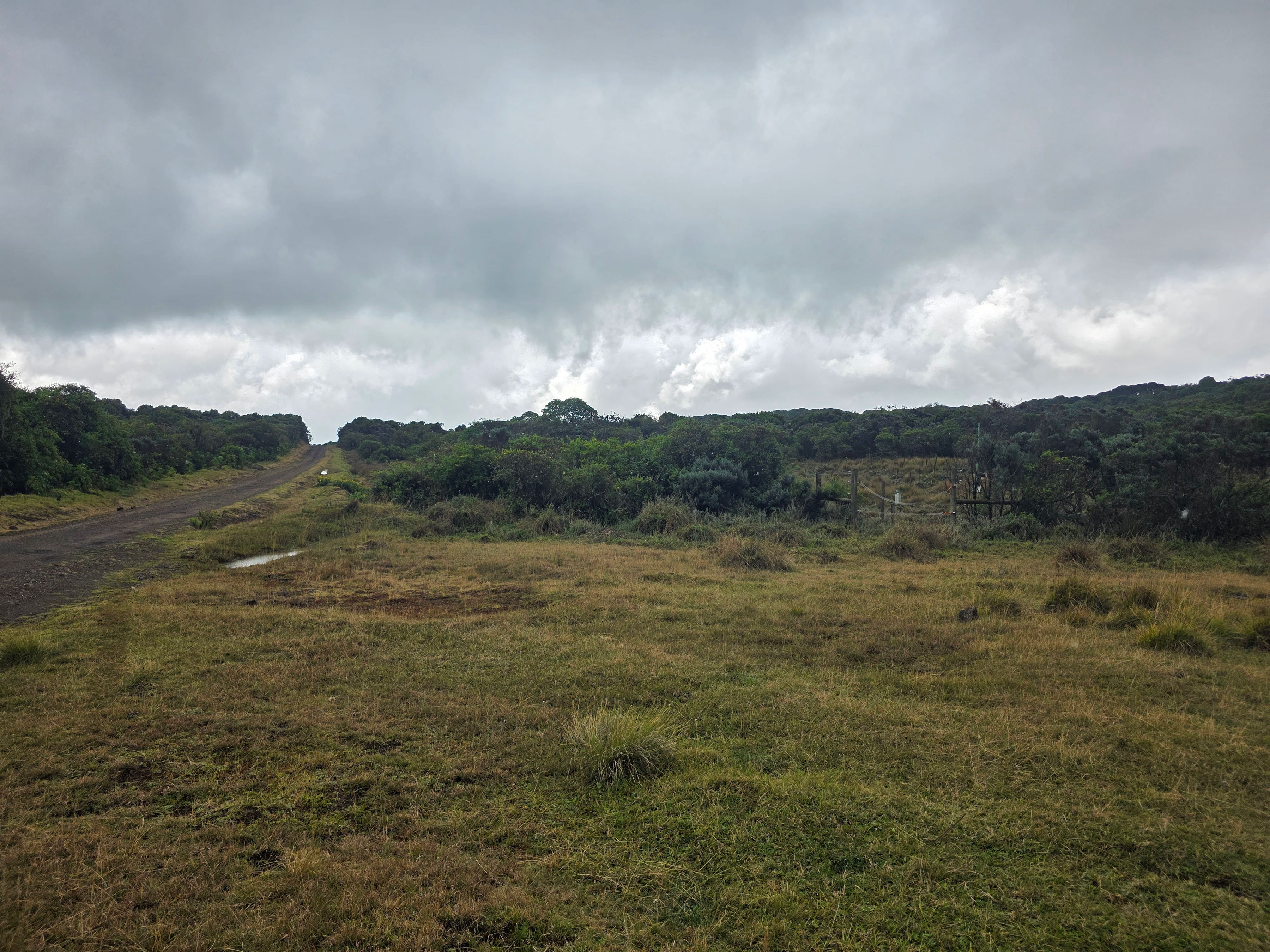 Wellness Experience 27